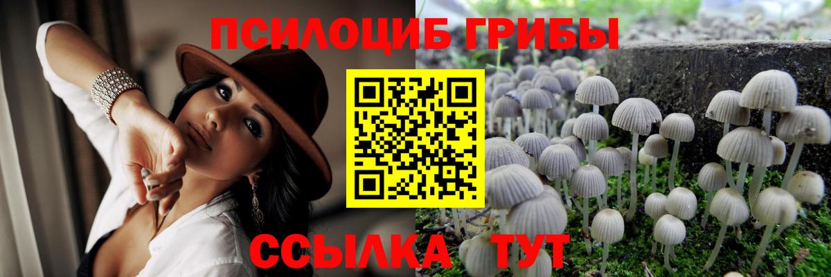 Галлюциногенные грибы Cubensis Зеленодольск
